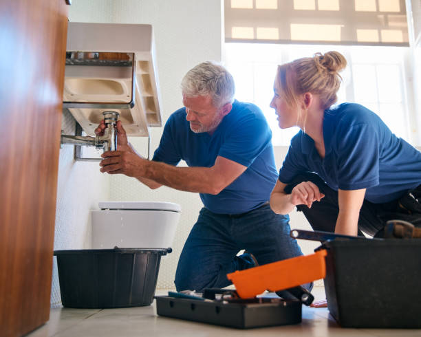 Best Affordable Plumber Near Me  in Lake Lotawana, MO